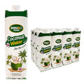 COCONUT WATER-1L-12 PACK.jpg